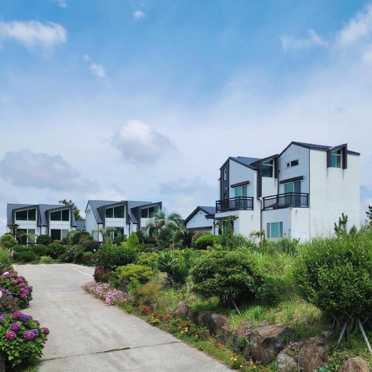 Jeju 542 Pension Seogwipo Extérieur photo